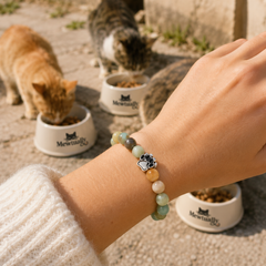 Amazonite Bracelet
